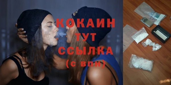 эйфоретик Тавда