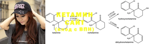 прущие крисы Вяземский