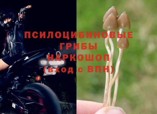 амф Бутурлиновка
