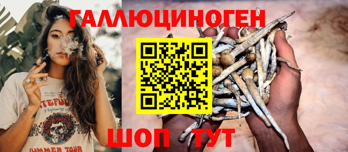 Галлюциногенные грибы Magic Shrooms Балашов