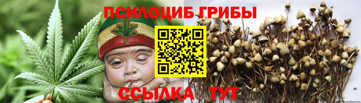 Галлюциногенные грибы Psilocybine cubensis  Галлюциногенные грибы мухоморы  Балашов  Вход с VPN 